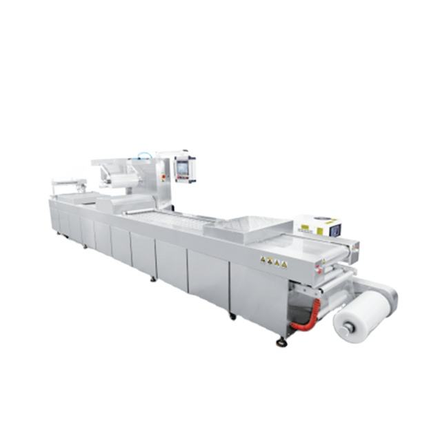LT520 Automatic Continuous Stretch Vacuum Packing Machine